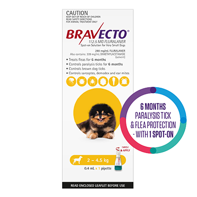 Bravecto Spot on