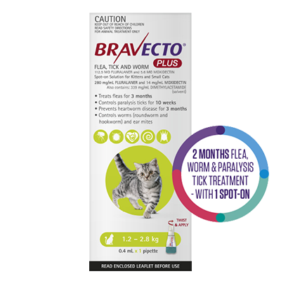 Bravecto Plus