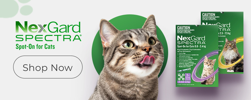 Nexgard Spectra