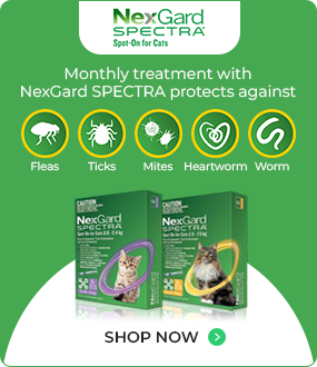Nexgard Spectra