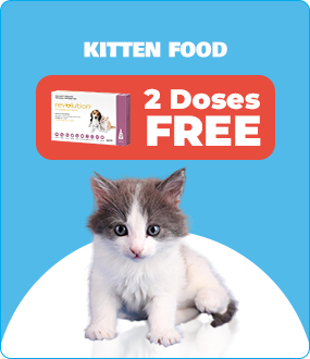 Puppy and Kitten Food