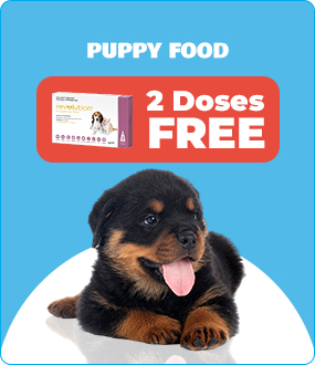 Puppy and Kitten Food
