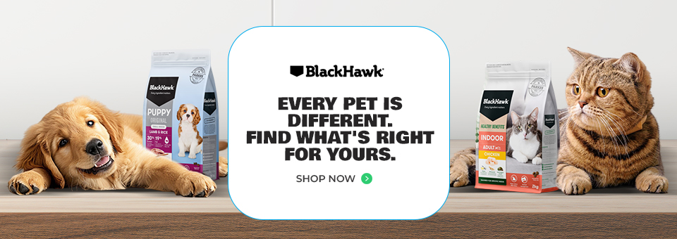 BlackHawk