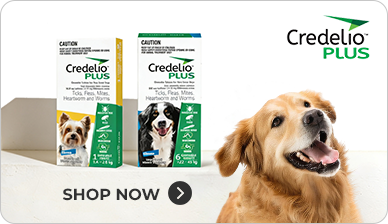 credilo plus dog