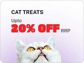 Cat Treat
